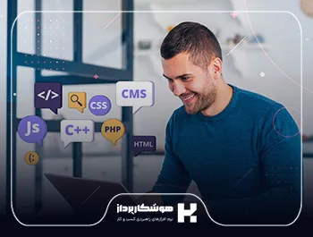 نرم‌افزار تحت وب چیست؟