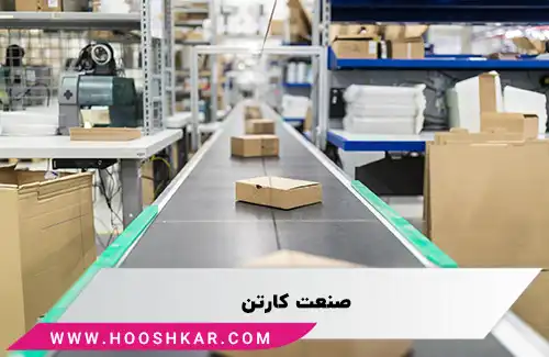 صنعت کارتن