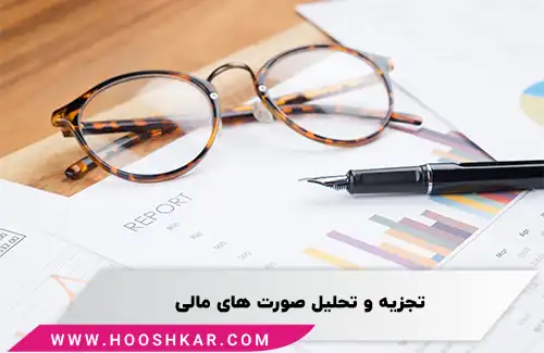 صورت مالی چیست؟